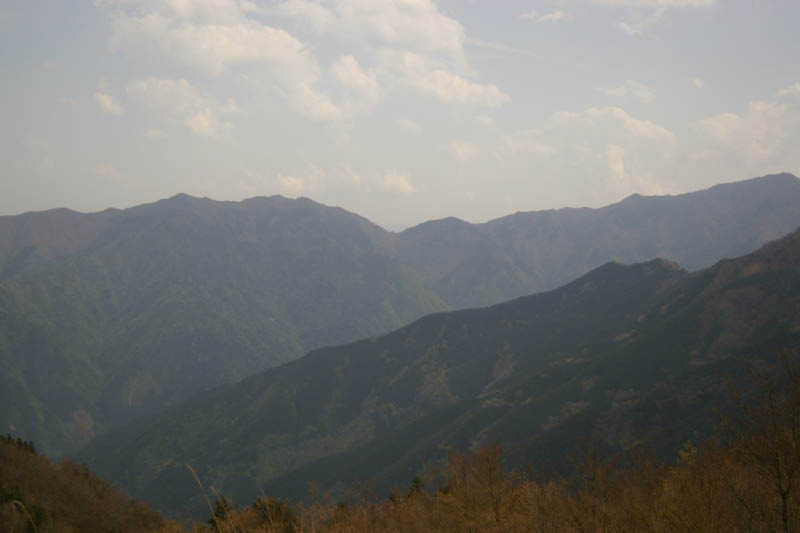 image0081