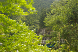 image0090